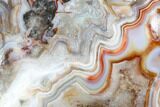 Polished Crazy Lace Agate - Mexico #180549-3